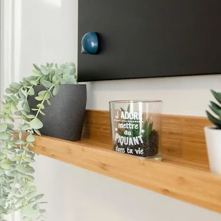 Lejlighed Green Appart2 La Doller Avec Jardin Prive *